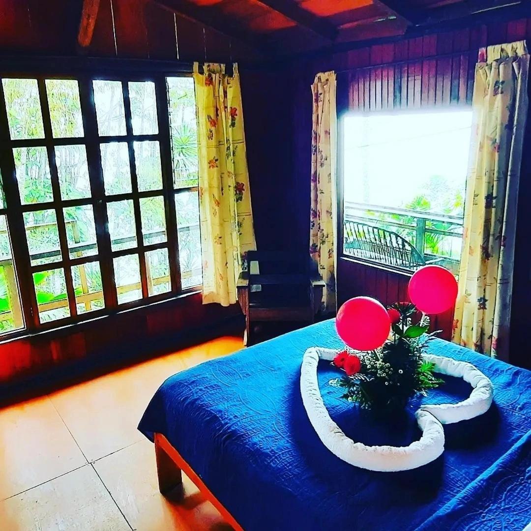 Pochotel ตูร์เรียลบา ห้อง รูปภาพ